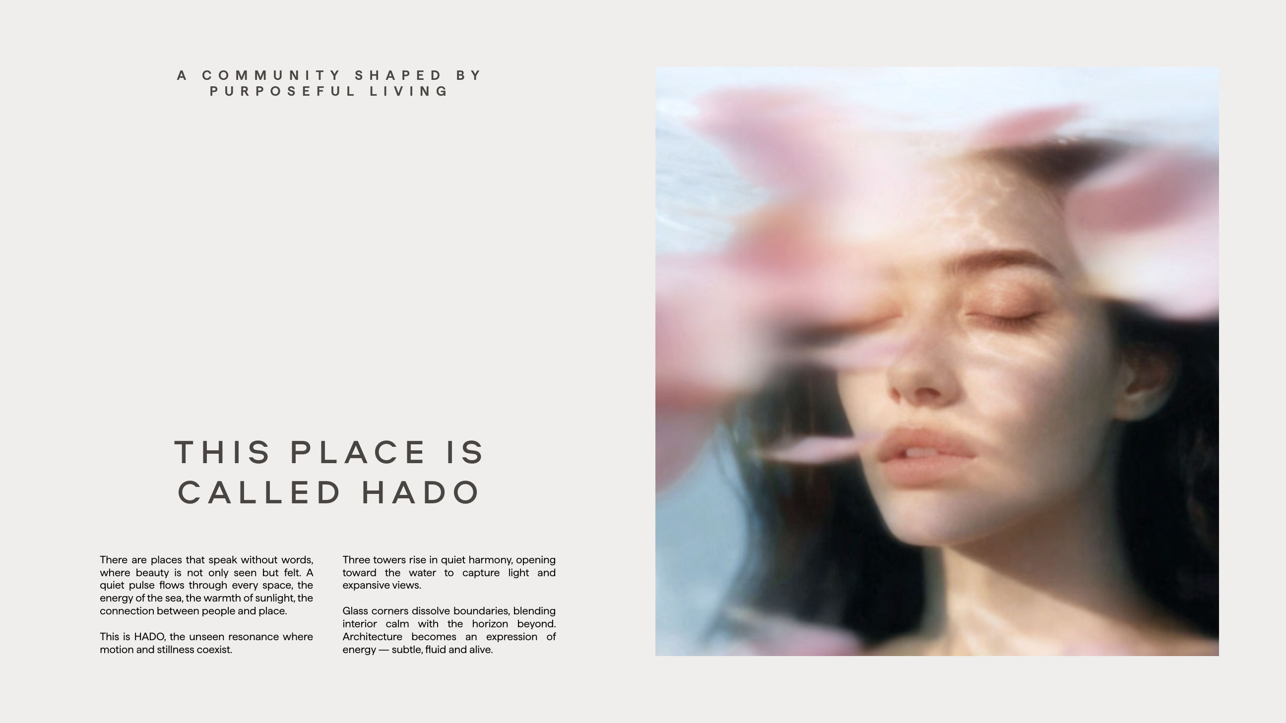 HADO brochure page image