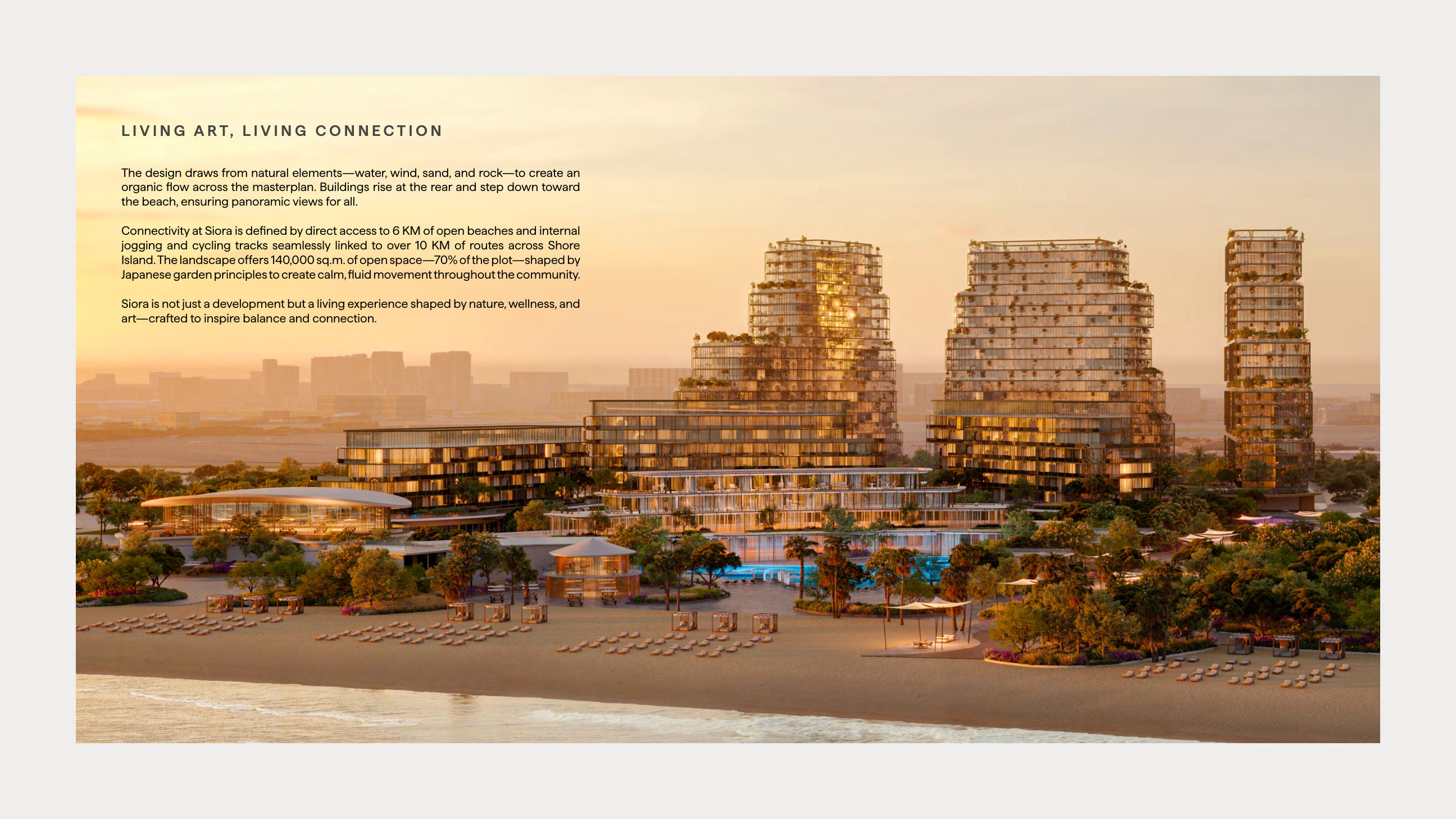 HADO brochure page image